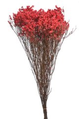 Svazek preparovaného Crystal Grass 120g RED