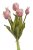 Svazek umělých papouščích tulipánů hlavička 5,5cm, celkem dl. 46 cm - 5ks