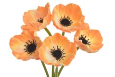 Svazek květů anemone na stonku dl. 29cm - 5 ks