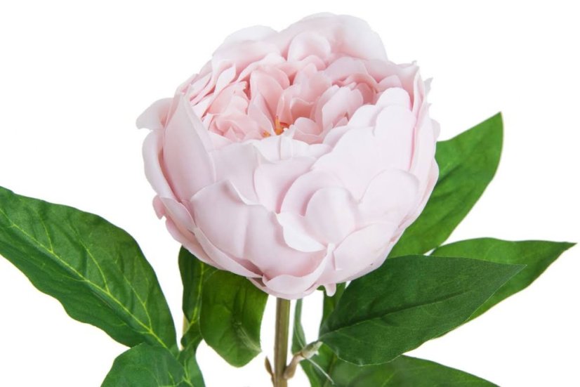 Umělá pivoňka na stonku s listy, hlavička jako živá, hlavička Ø 9cm, dl.58cm