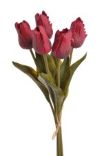Tulipán papouščí 5 ks ve svazku s listy, 32 cm, barva 13