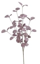 Větvička eukalyptu - pěna, 65 cm