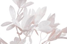 Umělá rostlina - větvička azalky s listy dl. 85cm_08