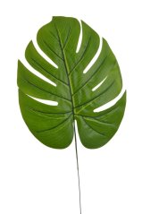 Umělý list monstera list 34cm, zápich 54cm