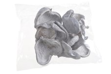 Přírodní dekorace barvené plody badam WW cca. 9-11cm - 10 ks