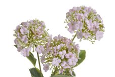 Umělé hortenzie 3 kusy - květ 9 cm, dl. 65 cm
