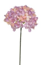 Divoký bez svazek 6 stonků s kvítky, dl. 22 cm, barva 05