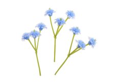 Dekorace umělé květy gipsofila 1cm/5cm - 80ks