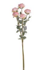 Svazek růže dlouhá stopka dl. 80cm - 5ks