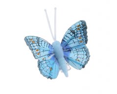 Dekorační péřový motýlek na klipu 5cm - 24ks