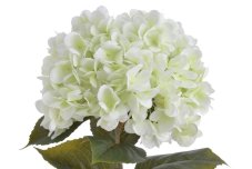 Umělá hortenzie s listy, hlava Ø 20cm, dl.80cm