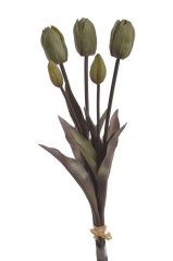 Svazek tulipánů s listy, 5 ks (3 květy + 2 poupata) 46 cm, barva 02