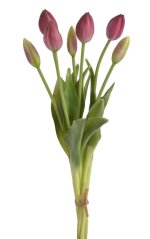 Svazek plastových tulipánů 5ks dl. 43cm