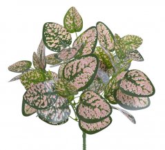 Umělé listy rostliny (Hypoestes phyllostachya) - svazek listů na stoncích dl.40cm