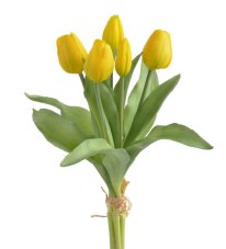 Svazek gumových tulipánů, hlavička 4,5cm, dl. celkem 30cm