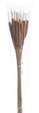 Přírodní dekorace hogla medium, dl. 70cm -  25ks