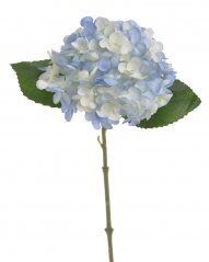 Květ hortenzie na stonku s listy - květ Ø 14 cm, dl. 32 cm