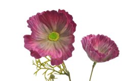 Umělý kvetoucí vlčí mák s listy, květ Ø 8cm, dl. 72cm