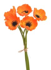 Svazek květů anemone na stonku dl. 29cm - 5 ks