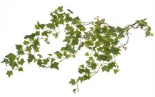 Girlanda z umělého břečťanu dl. 173cm