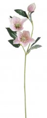 Umělá čemeřice s 2 květy, květ Ø 9cm, dl.  57 cm 149CAN76-10865_03