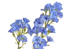 Umělá kvetoucí rostlina hrachor dl. 77cm