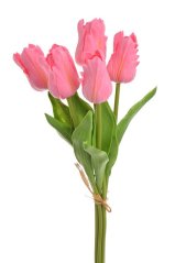 Tulipán papouščí 5 ks ve svazku s listy, 32 cm, barva 17