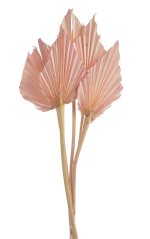 Přírodní barvený materiál palm spear, list 16x11cm dl.celkem 45cm - 5 ks