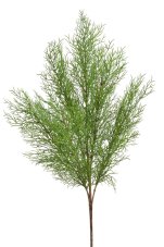 Umělý asparagus – zelená větvička 60 cm