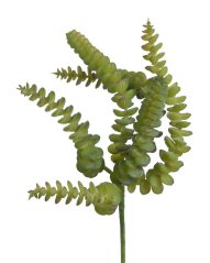 Umělé sukulenty Sedum Burrito 27cm