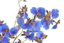 Lata umělé mini orchideje dl. 78cm