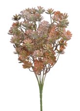 Rozchodník 34 cm, 7 větviček