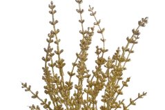 Umělá barvená a glitrovaná levandule dl. 32cm