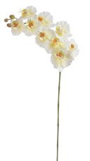 Umělá orchidej krémová 95 cm