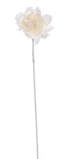 Krajková pivoňka retro, Ø 10 cm, dl. 60 cm_12