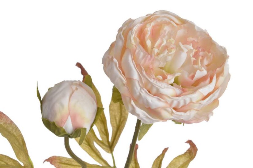 Umělá pivoňka s květem a poupětem, květ Ø10cm/ celková dl.72cm