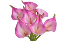 Svazek umělých kal, hlavička 7cm dl. 37cm - 7 kusů