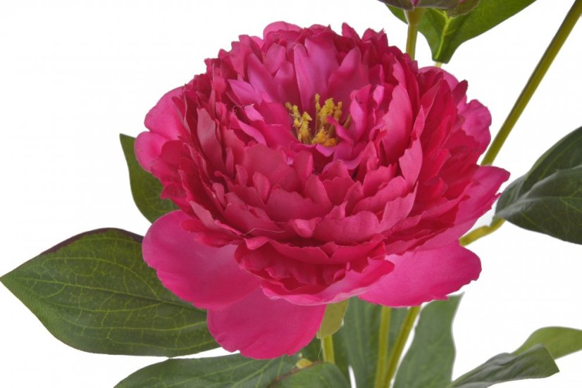 Umělá pivoňka s 2květy a poupětem, květ Ø10cm/ celková dl.65cm