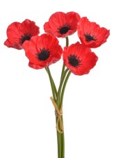 Svazek květů anemone na stonku dl. 29cm - 5 ks