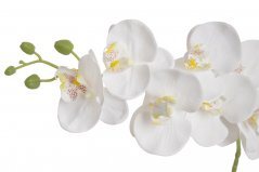 Lata umělé orchideje 7 květů s poupaty, květ  9cm/dl.77cm