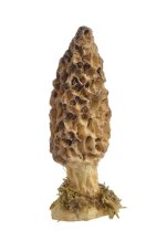 Dekorační smrž béžovo-hnědý 12 cm