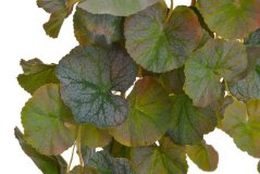 Umělá rostlina geranium převislé dl. 130cm