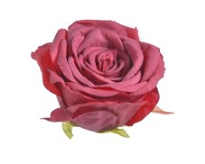 Velká hlavička rozvité umělé růže Ø8cm -  6ks