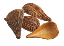 Přírodní dekorace Pradeep nat bal. 250g