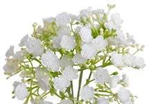 Svazek 5 větviček umělé gypsophily dl. 30cm