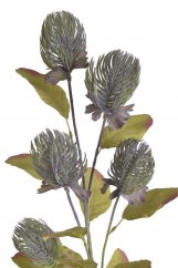 Umělá rozkvetlá banksia s 5 květy, květ Ø7cm/dl.85cm