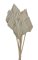 Přírodní dekorace Palm Spear Mini dl. 30 - 35cm - 10ks