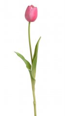 Tulipán z měkčeného plastu 5cm, dl.40cm