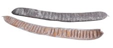 Sušené lusky Step Fruit 40–45 cm, 10 ks