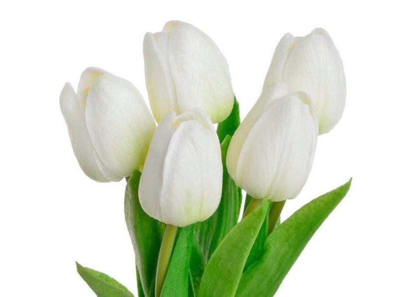 Svazek pěnových tulipánů s listy dl. 32cm - 5ks